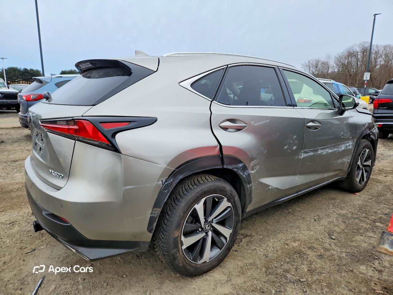 Lexus NX 2019