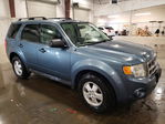 Ford Escape 2011