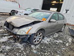 Nissan Maxima 2007