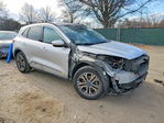 Ford Escape 2020