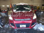 Ford Escape 2014