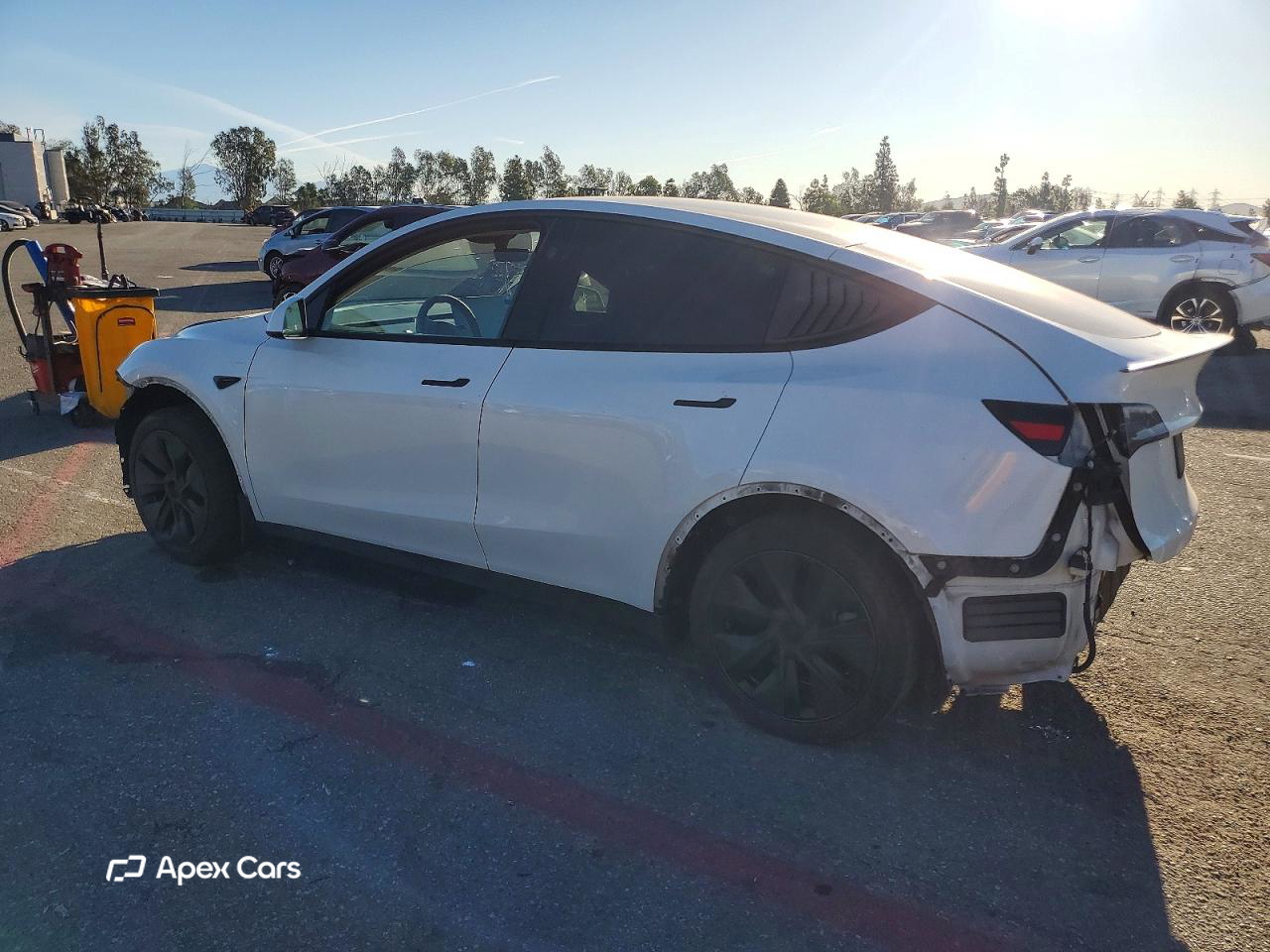 Tesla Model Y 2024