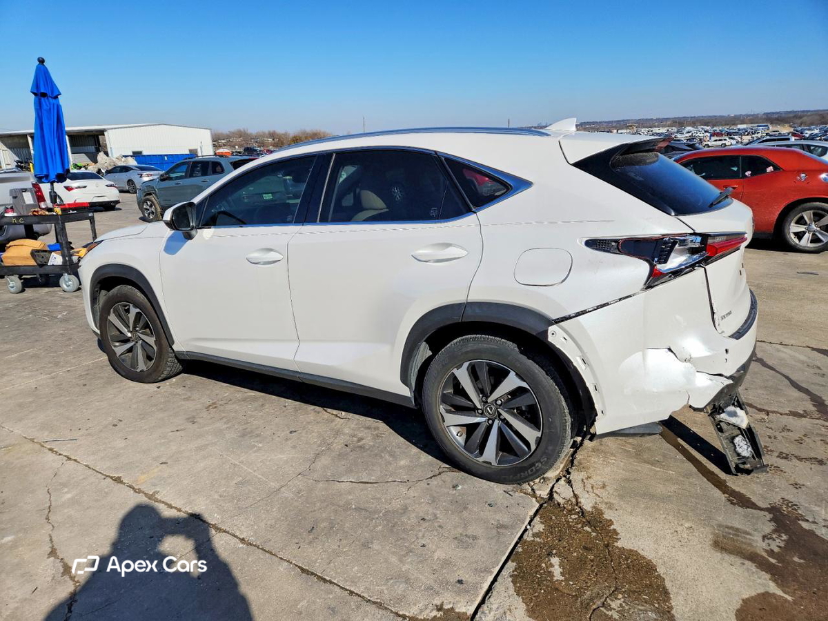 Lexus NX 2019