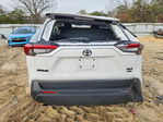 Toyota RAV 4 2025