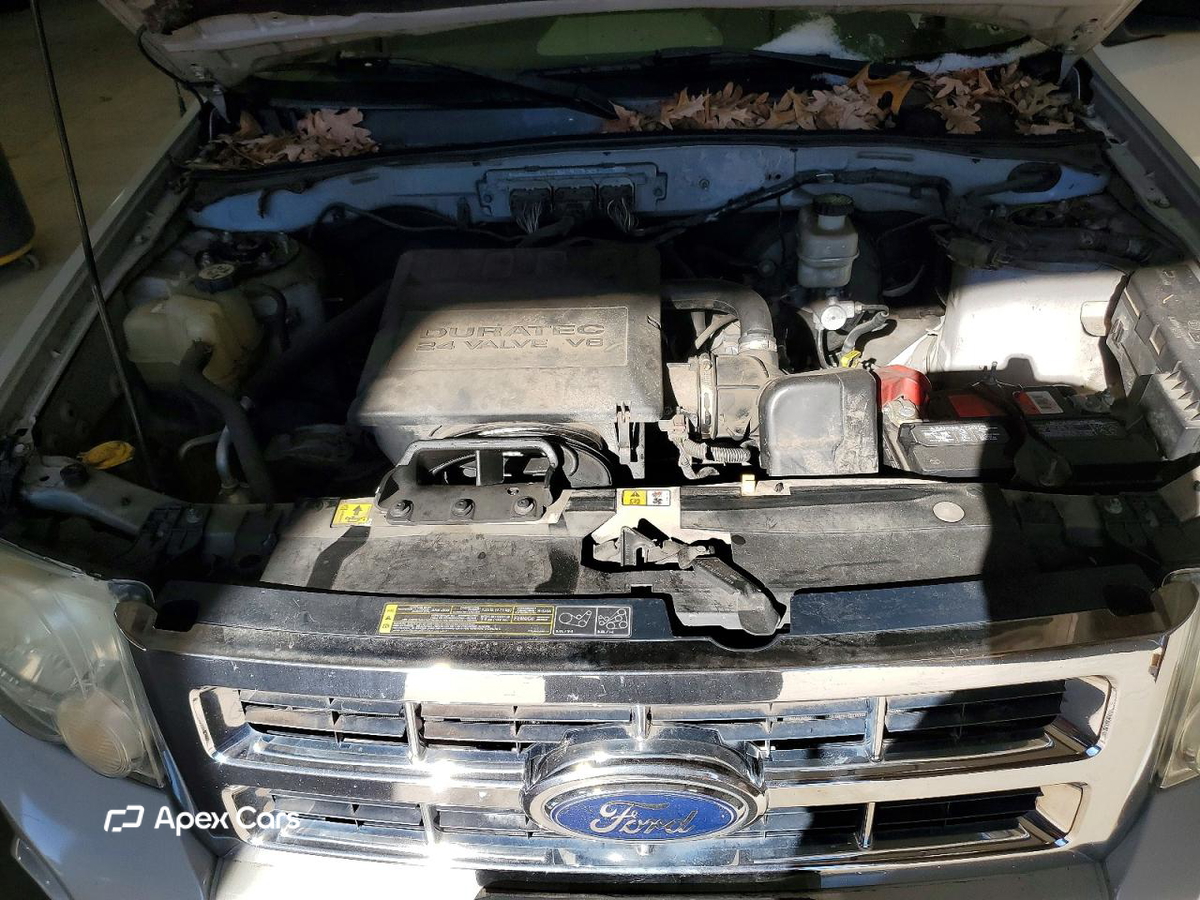 Ford Escape 2009