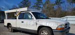 Dodge Dakota 2001