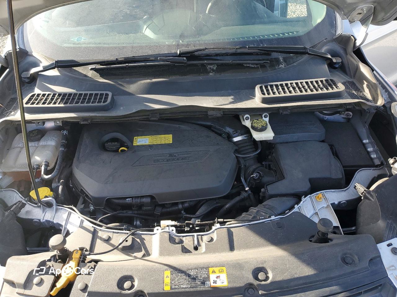 Ford Escape 2014