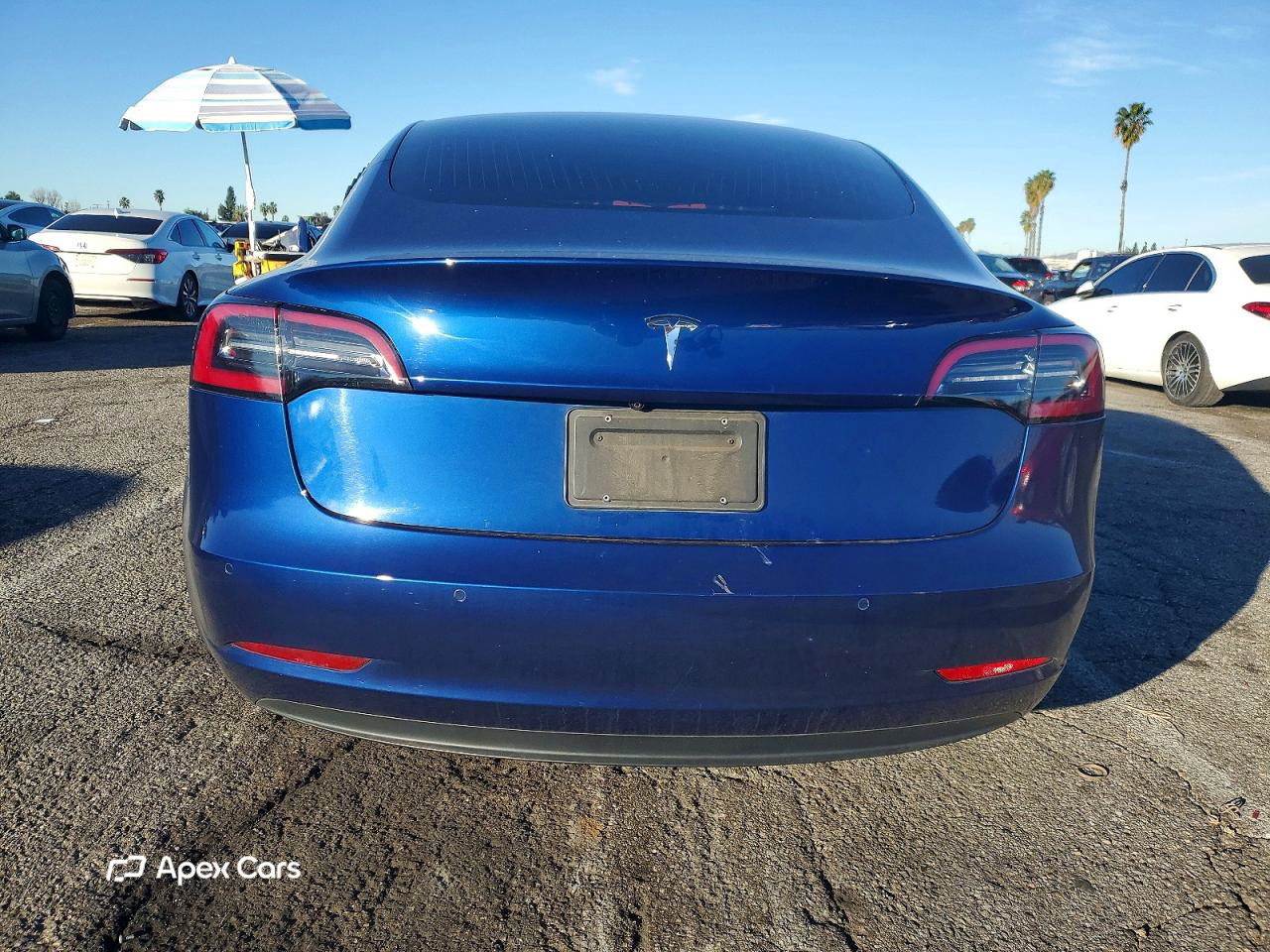 Tesla Model 3 2019