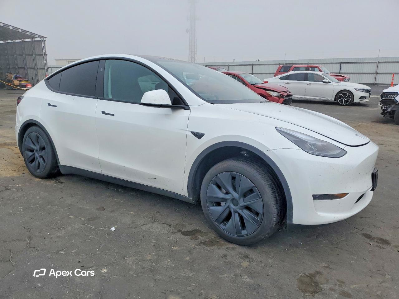 Tesla Model Y 2025