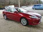 Lexus ES 2015