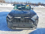 Toyota RAV 4 2022