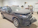Toyota RAV 4 2021