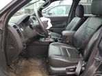 Ford Escape 2010