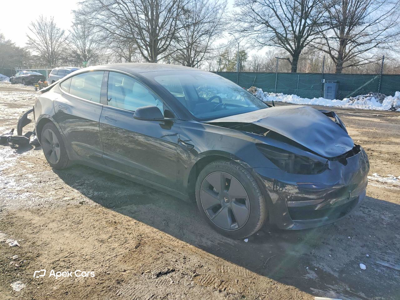 Tesla Model 3 2021