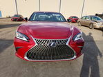 Lexus ES 2019