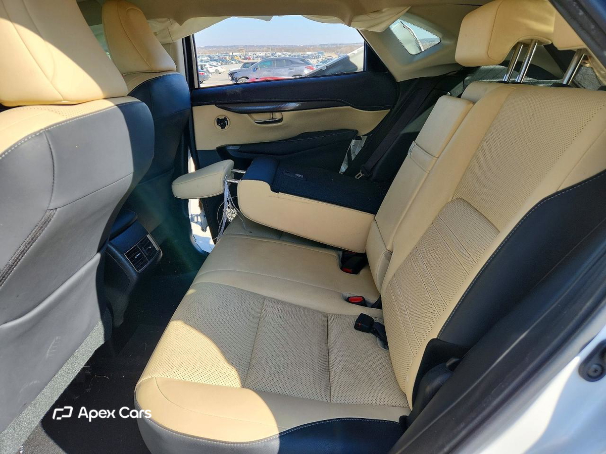 Lexus NX 2019