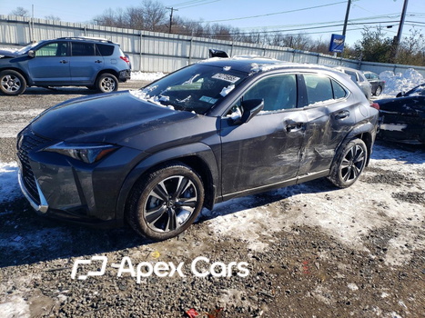 Lexus UX 2025 - Image 1 of 14
