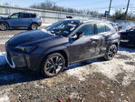Lexus UX 2025