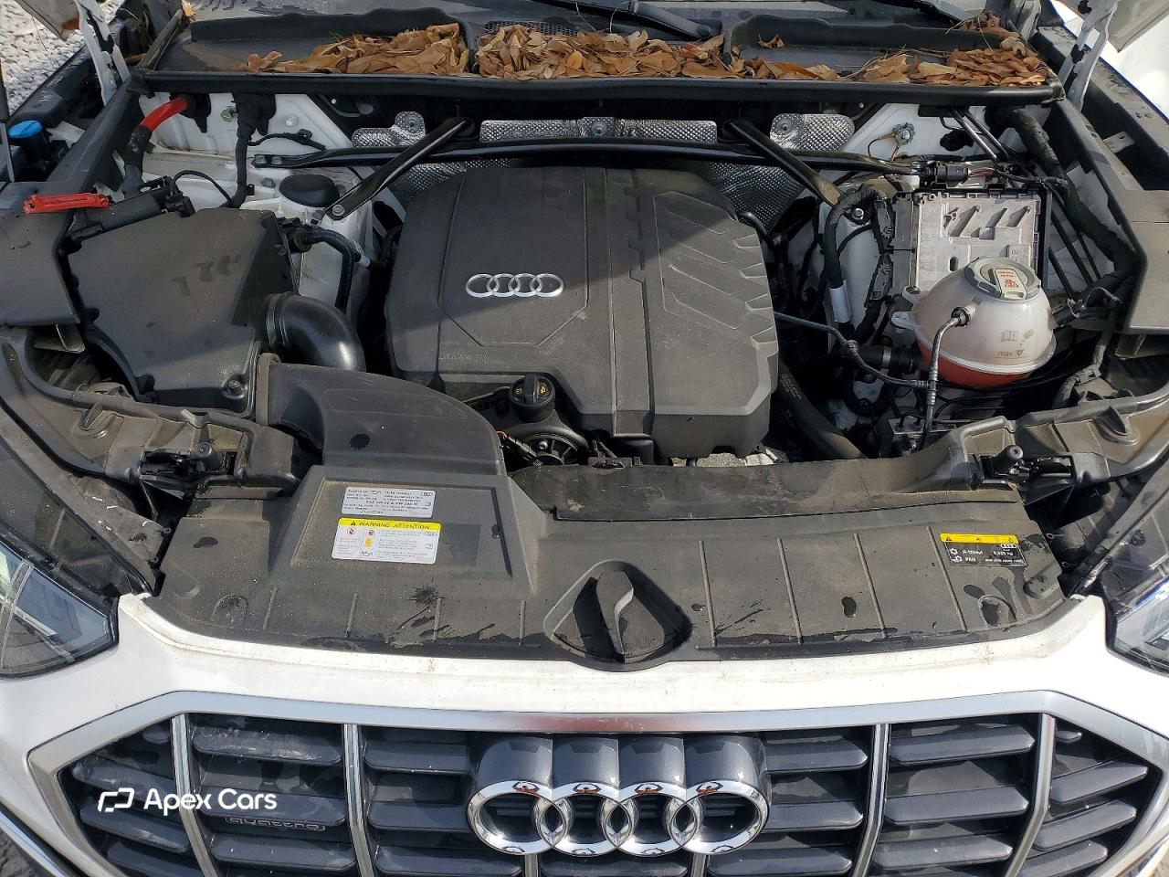 Audi Q5 2021