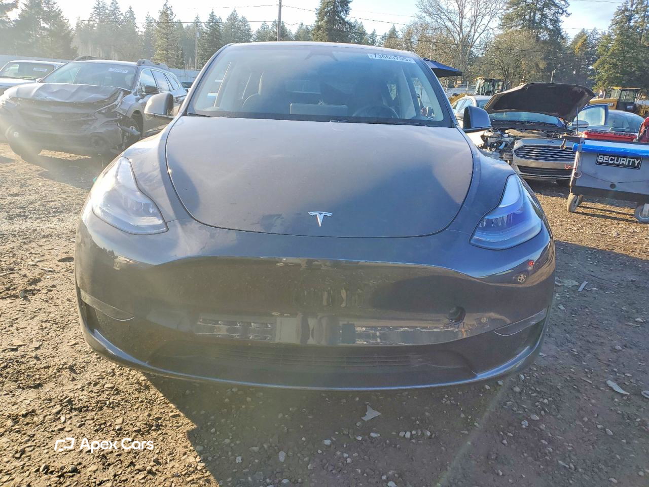 Tesla Model Y 2024