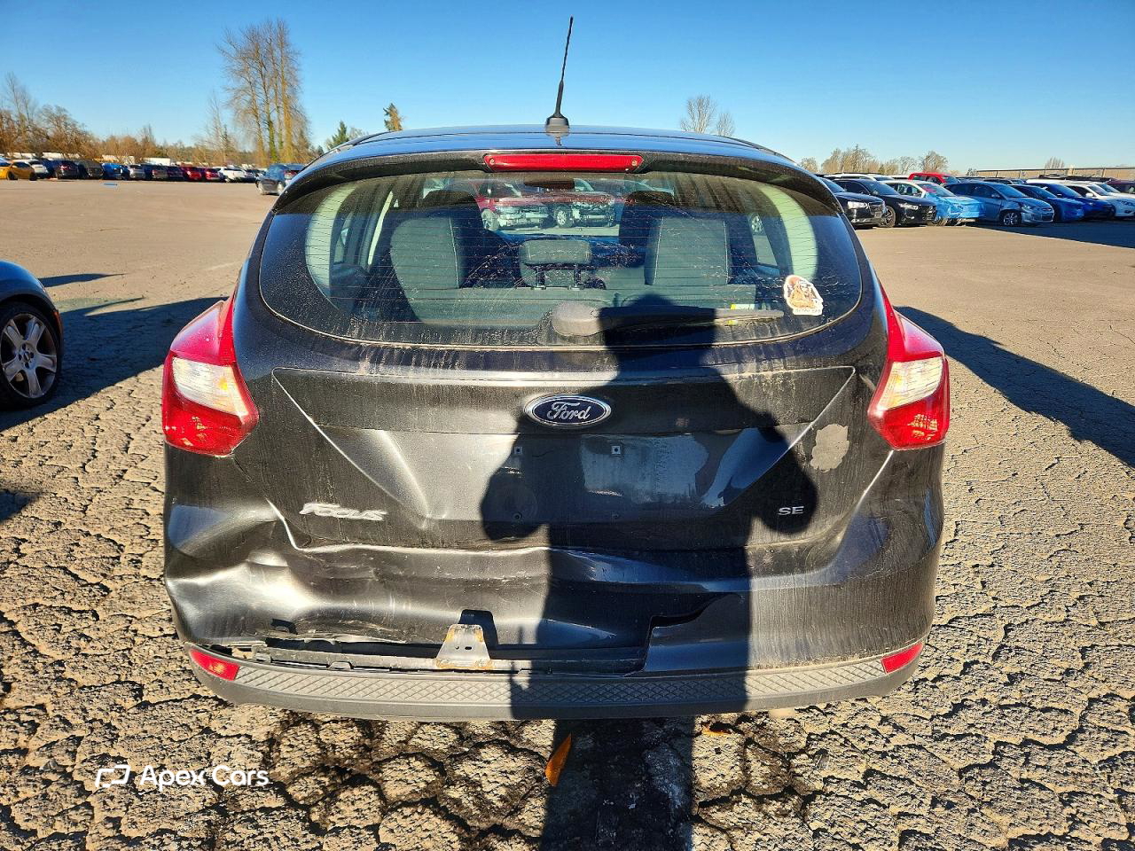 Ford Focus 2014