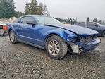 Ford Mustang 2007