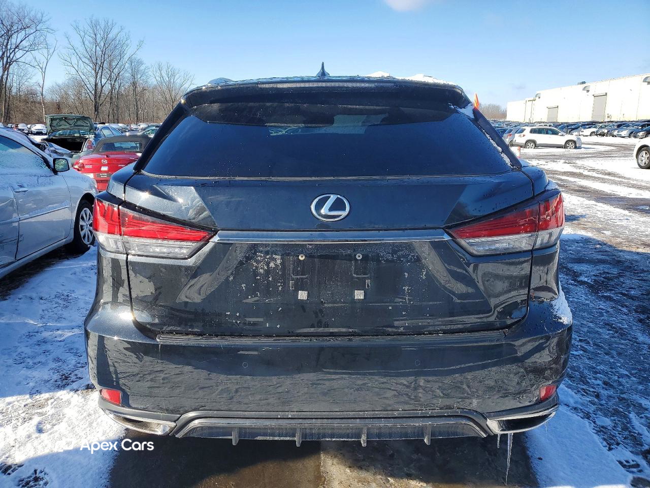 Lexus RX 2022