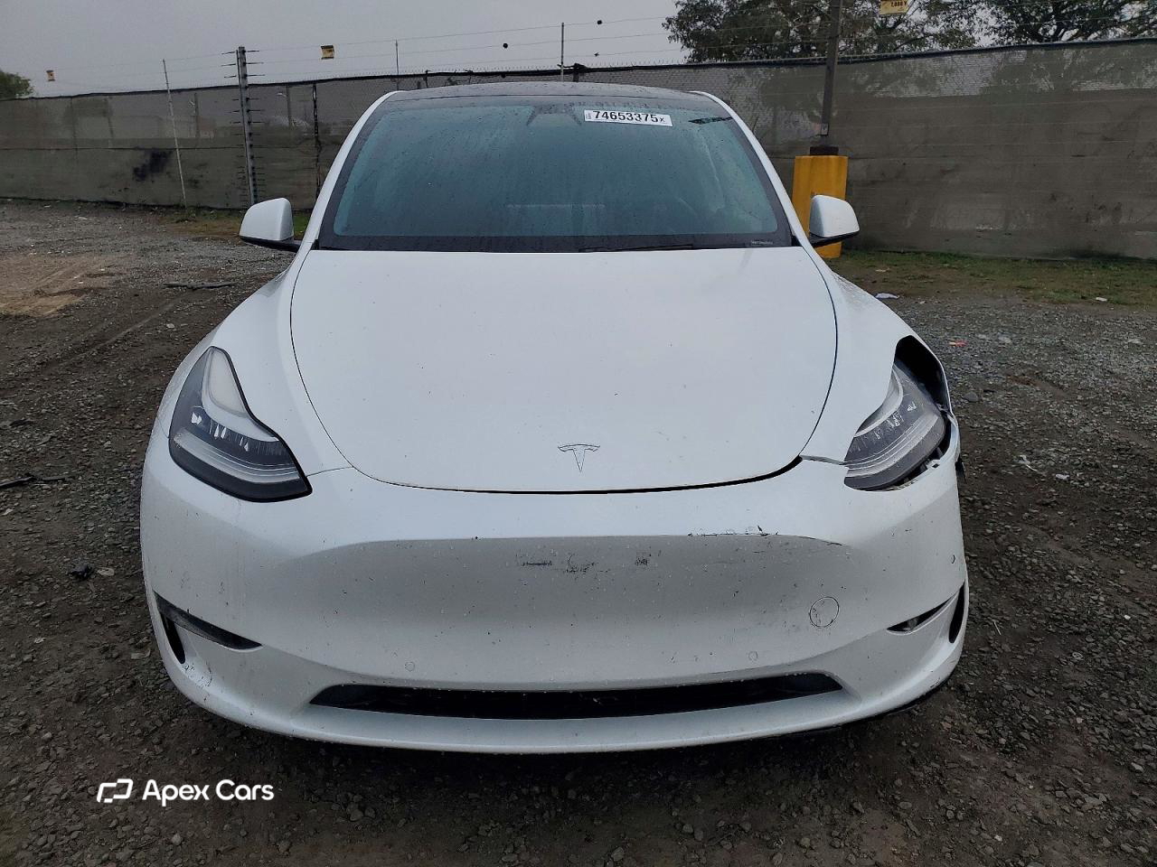 Tesla Model Y 2020