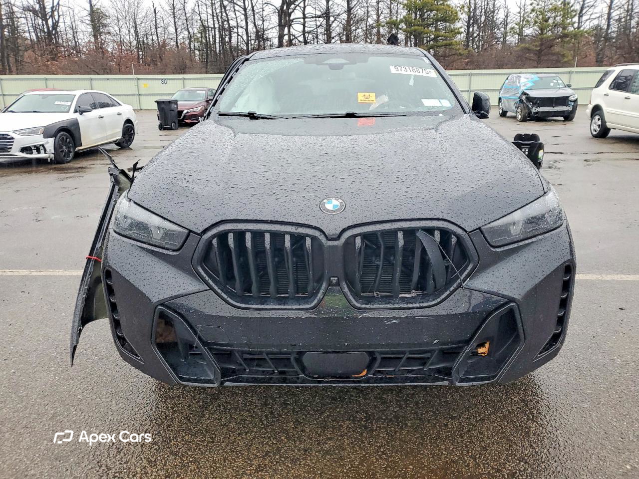 BMW X6 2025