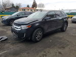 Ford Edge 2013