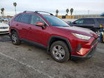 Toyota RAV 4 2025