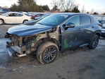Lexus NX 2024