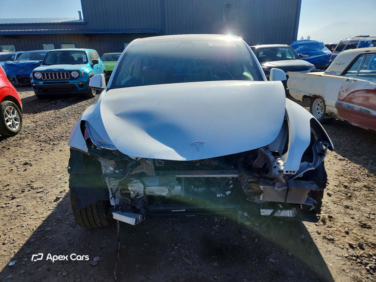 Tesla Model Y 2021