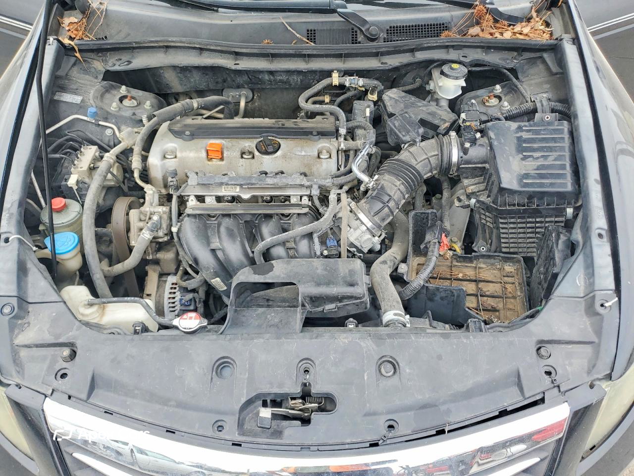 Honda Accord 2011