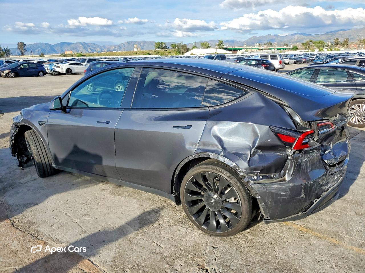 Tesla Model Y 2021