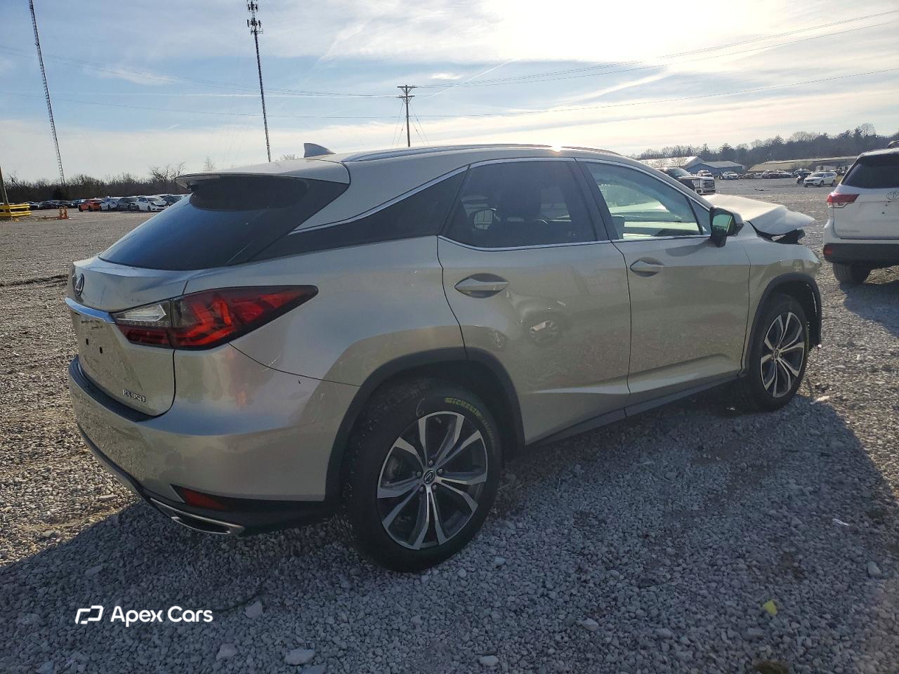 Lexus RX 2020