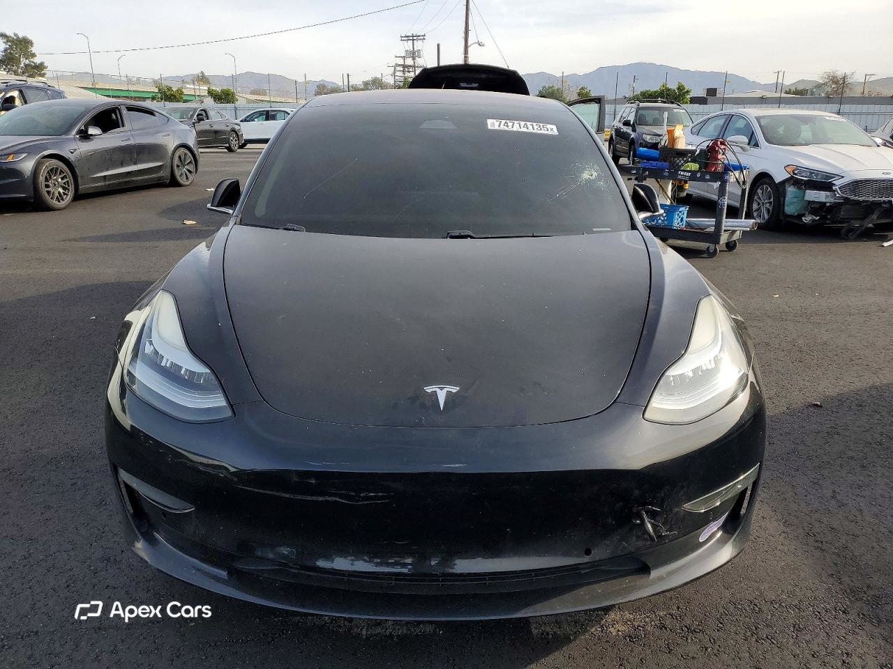 Tesla Model 3 2019