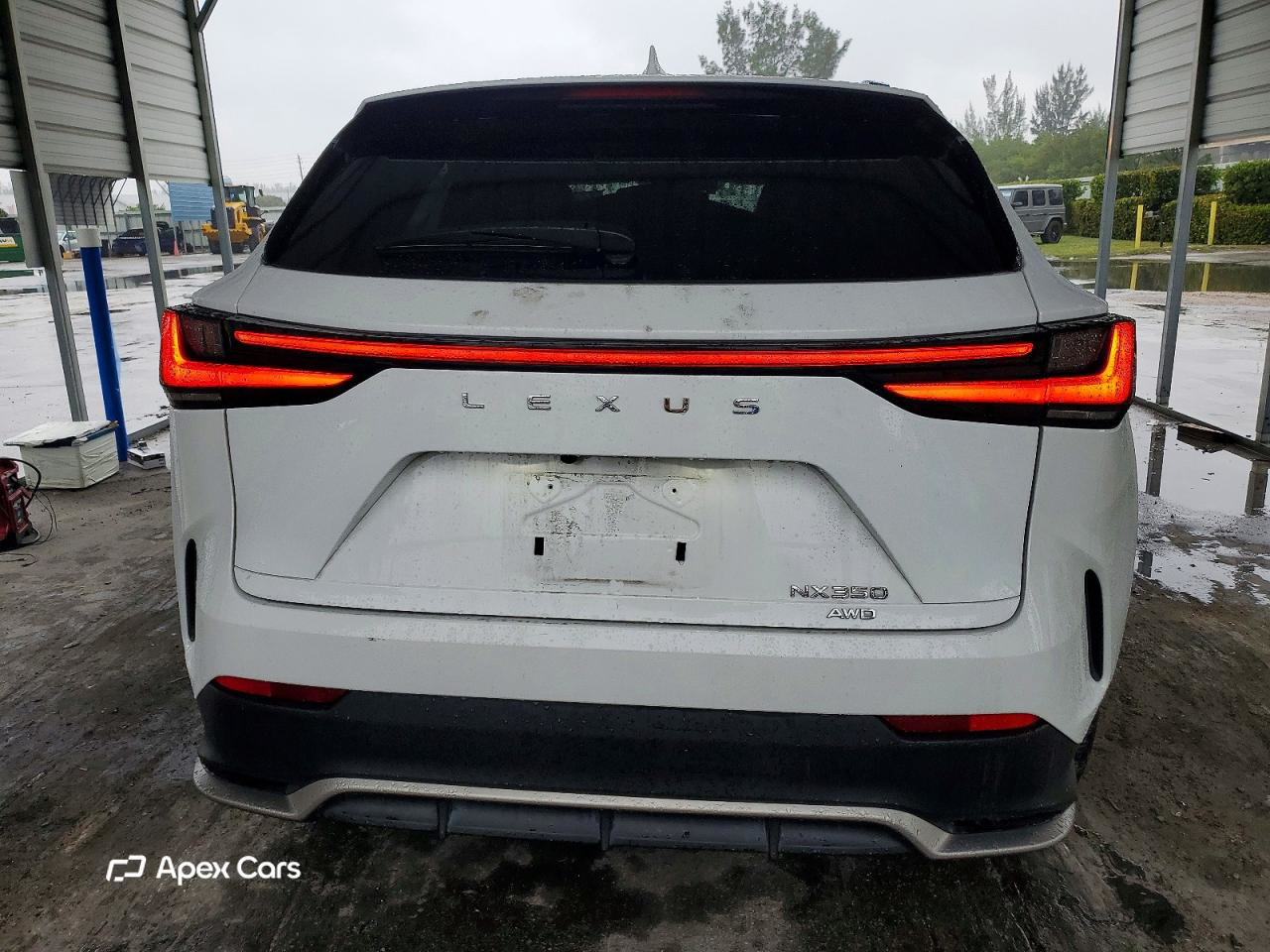 Lexus NX 2024