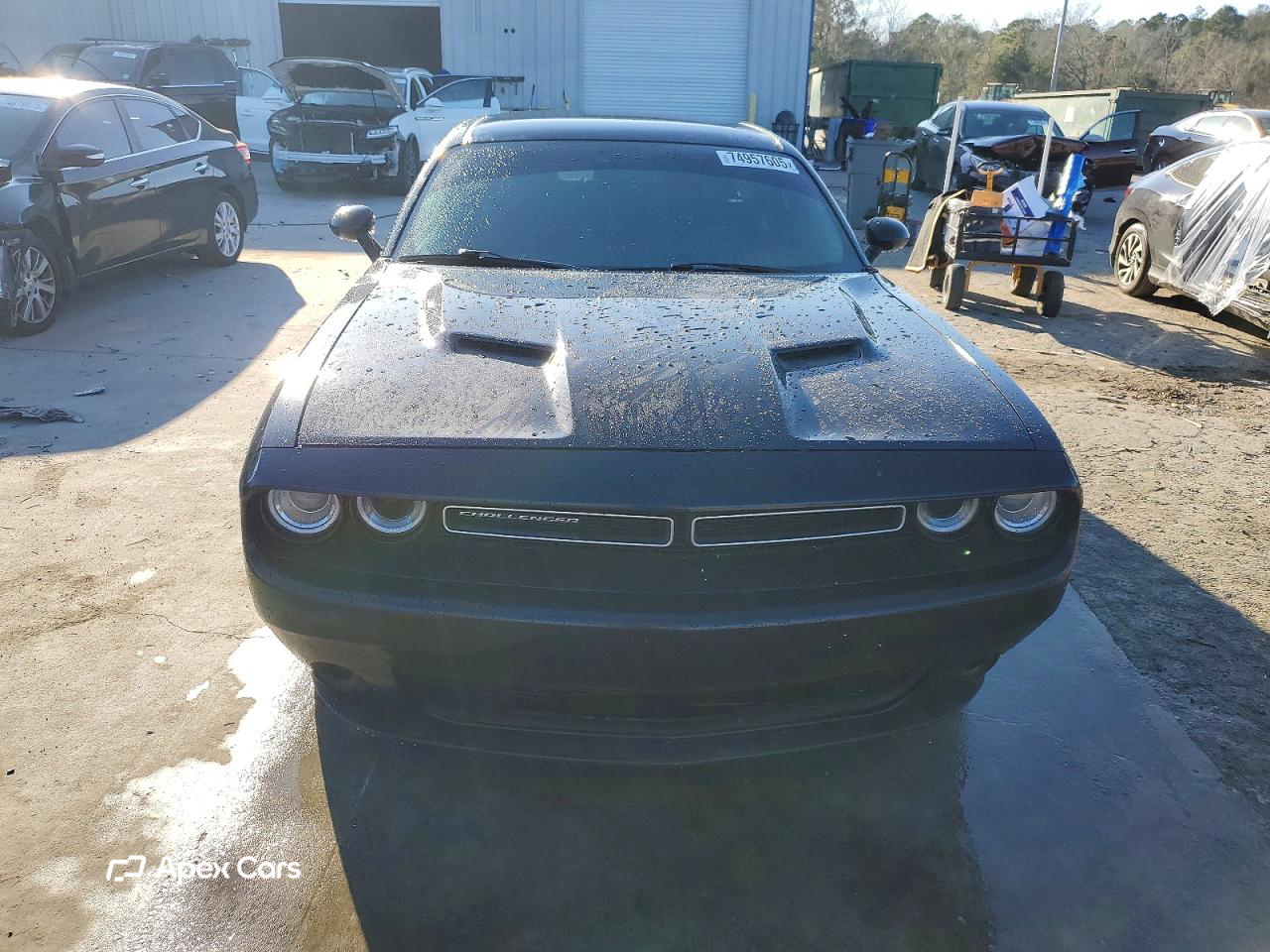 Dodge Challenger 2019