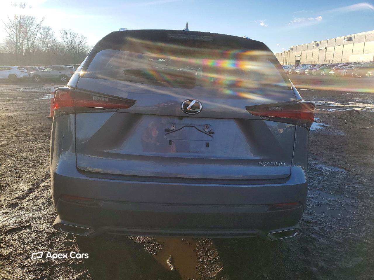 Lexus NX 2020