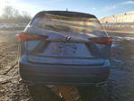 Lexus NX 2020