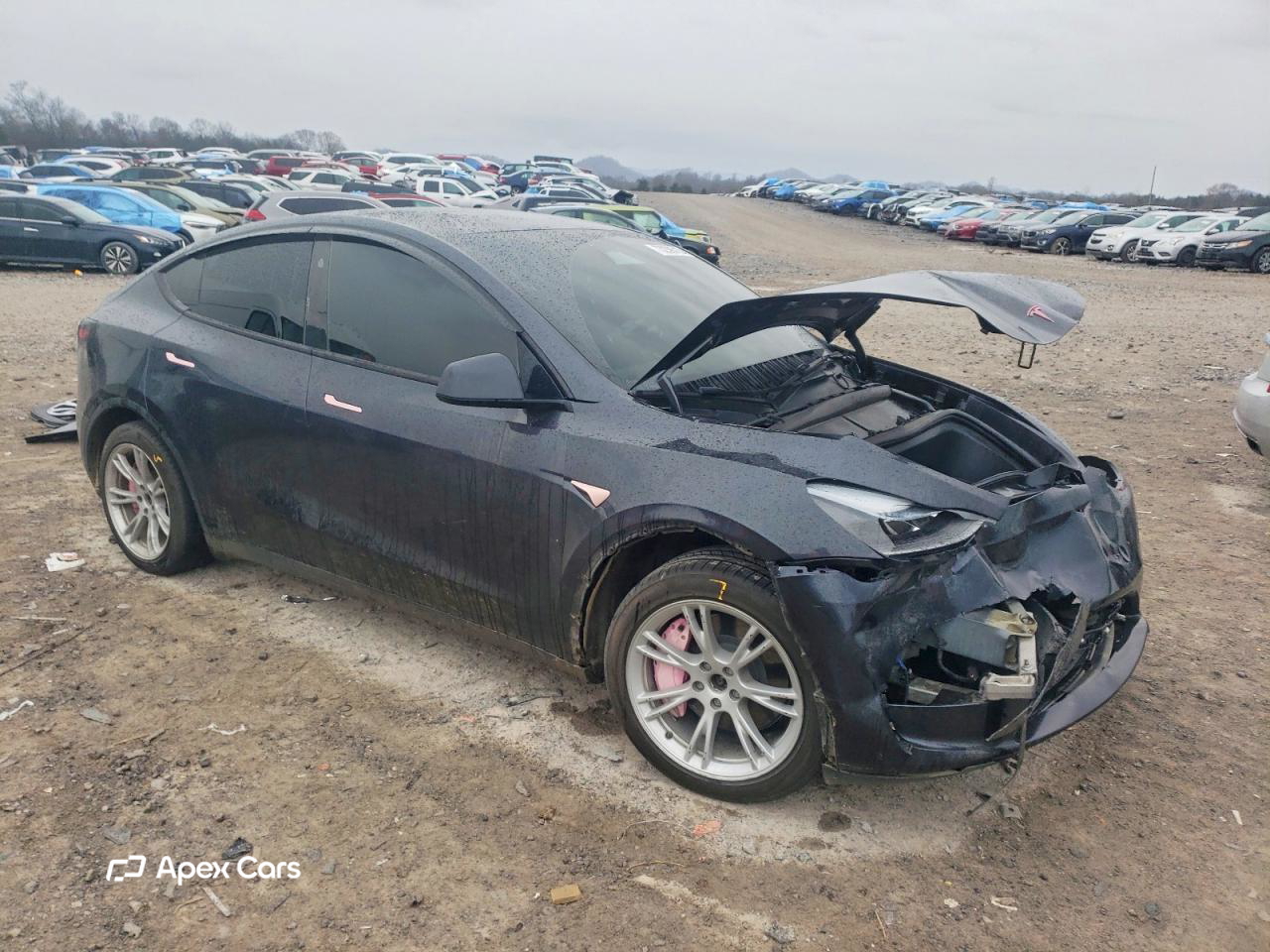 Tesla Model Y 2024