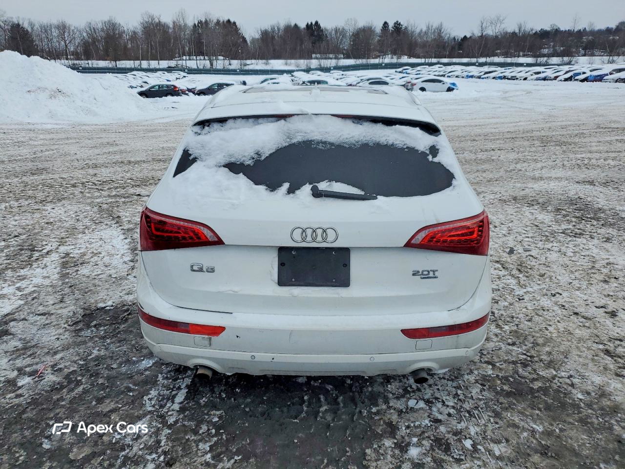 Audi Q5 2011