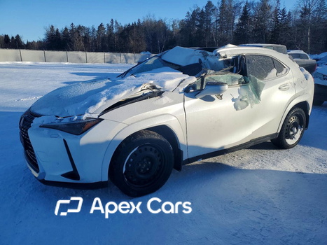 Lexus UX 2025 - Image 1 of 12