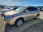 Lexus RX 2010