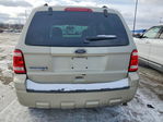 Ford Escape 2010