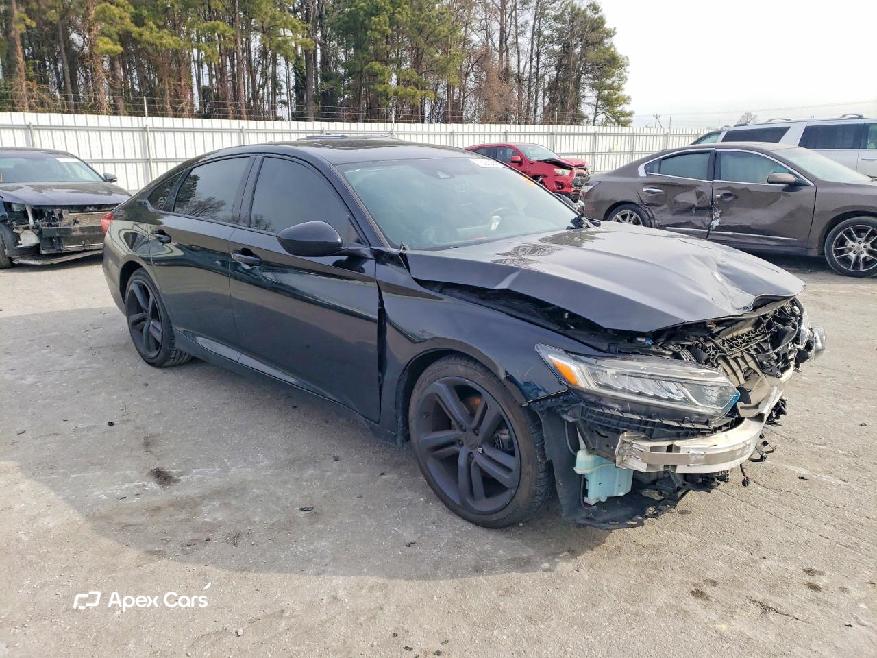 Honda Accord 2019