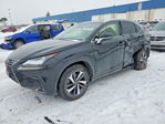 Lexus NX 2019