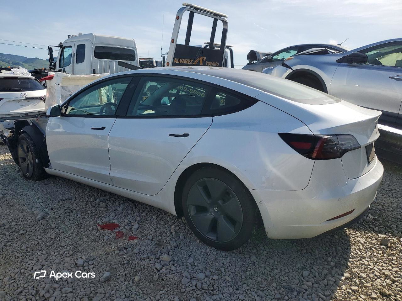 Tesla Model 3 2022