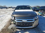 Ford Edge 2013